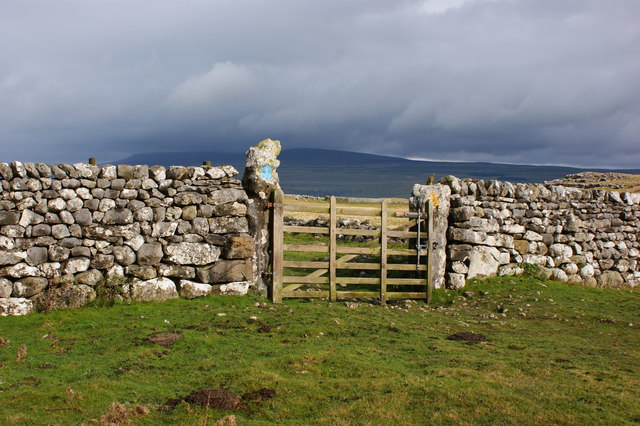 a-gate-with-sheepfold-beyond-ian-greig-geograph-britain-and-ireland