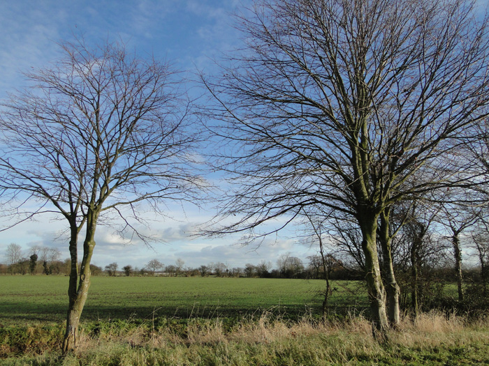 View Through The Trees To Wood Farm Adrian S Pye Cc By Sa 2 0