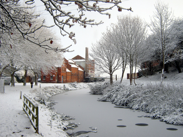 Taunton Canal