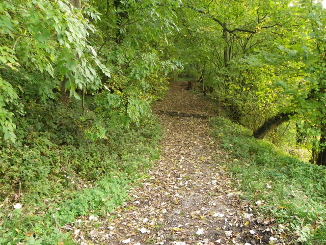 Ribble Way Bridge