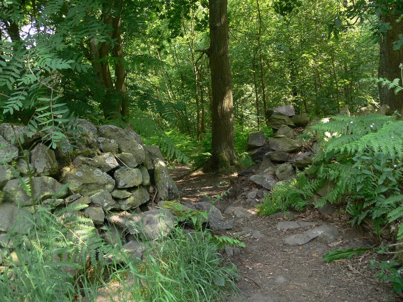 Dry Stone Wall And Path In Cademan Wood Mat Fascione Cc By Sa 2 0