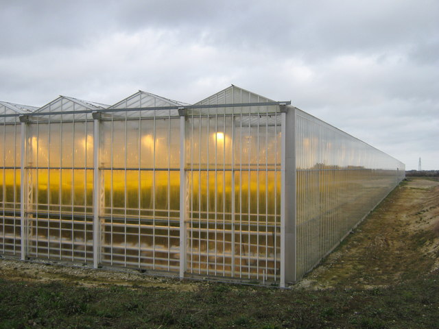Greenhouse Lighting