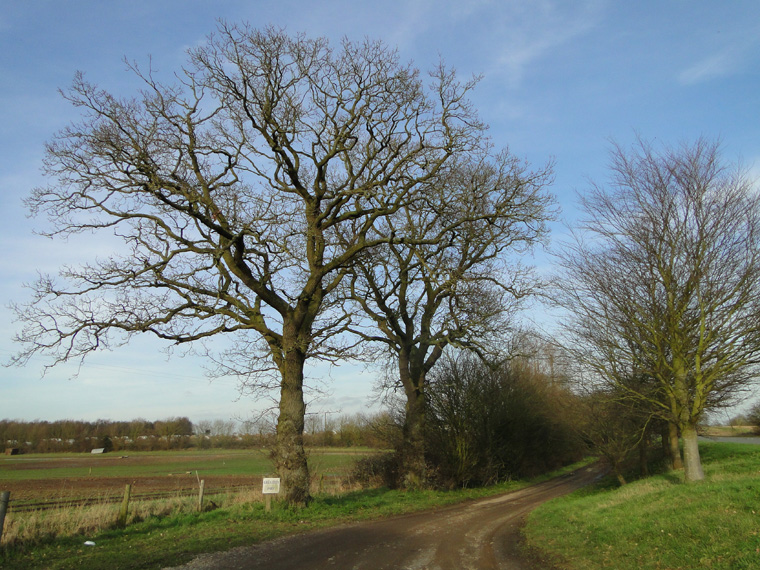 Track And Entrance To Grenstein Farm Adrian S Pye Cc By Sa 2 0