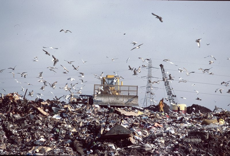 Sefton Meadows Tip Mike Pennington Cc By Sa Geograph Britain