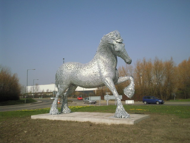 Belvedere Horse