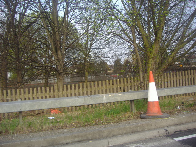 roadside cone