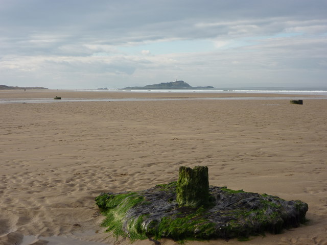 Stump Coast