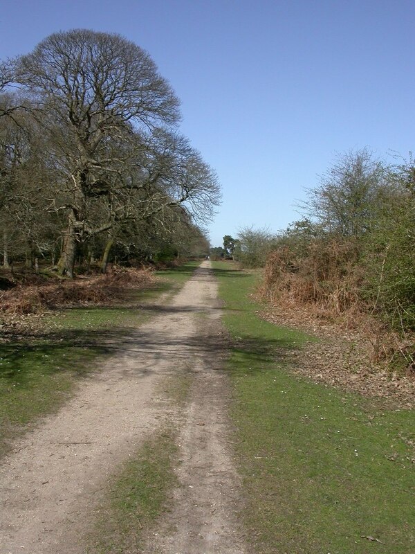 Wilverley Plain Forestry Road Mike Faherty Cc By Sa Geograph