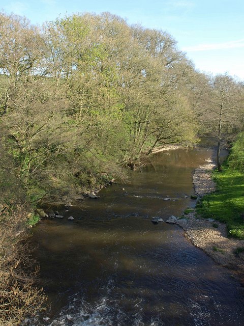 River Otter At Fenny Bridges © Derek Harper Cc-by-sa 2.0 :: Geograph 