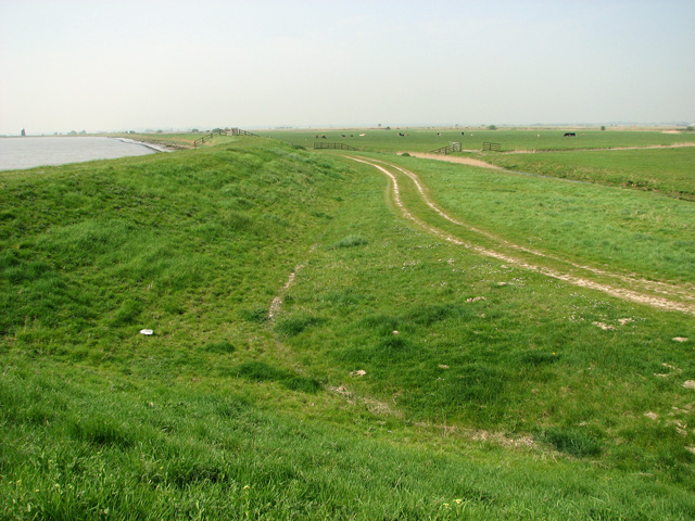 Farm Track In Acle Marshes Evelyn Simak Geograph Britain And Ireland