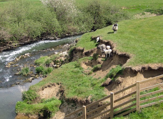 Eroding River Bank © Pauline E Geograph Britain And Ireland 7281