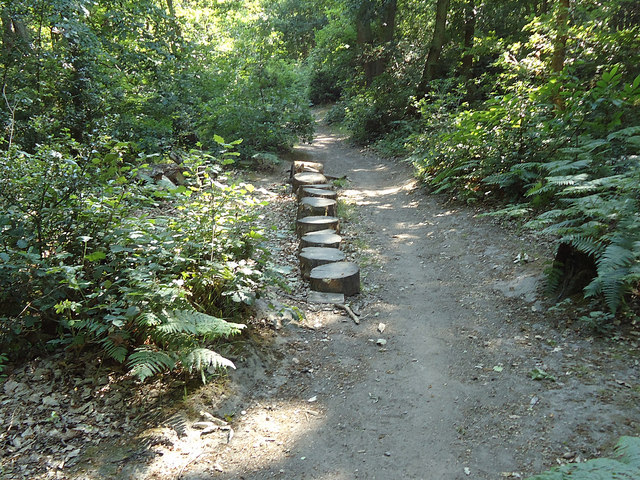 Wooden Stepping Stones