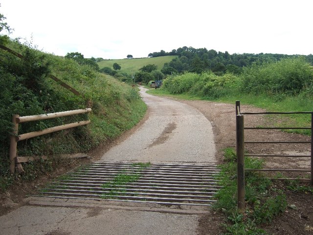 Cattle Trap