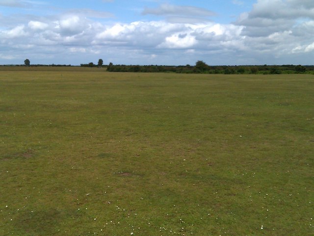 Wilverley Plain © David Martin cc-by-sa/2.0 :: Geograph Britain and Ireland