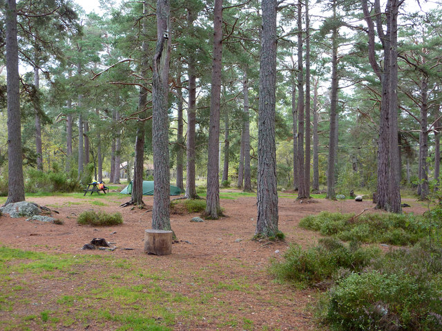 Upper Camping Area At The Rothiemurchus © Phil Champion Cc By Sa20 Geograph Britain And 2631