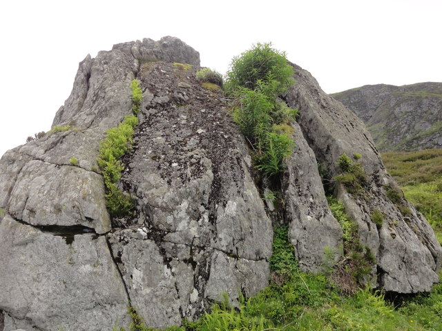 Biological Weathering In Corrie Fee Christine Christie Geograph 