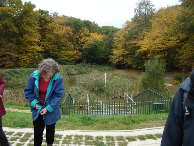 Loughton Brook