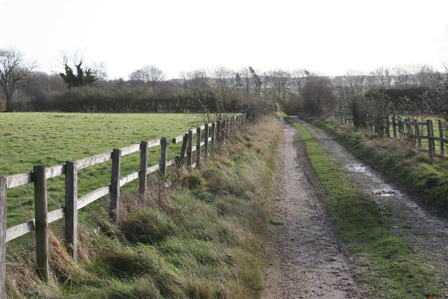 Near Newton Down Farm Hampshire Brendan And Ruth McCartney Cc By Sa