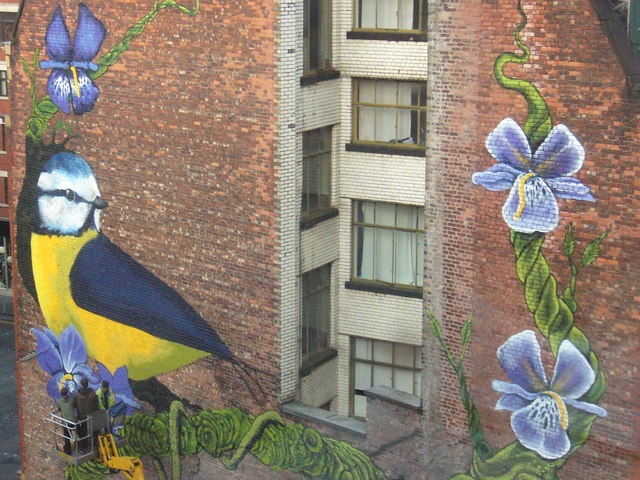 graffiti/wall mural of a bird and vining flowers taking over the side of a brick building