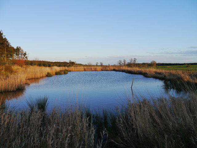 Wildfowling Pond At Charterhall James T M Towill Cc By Sa