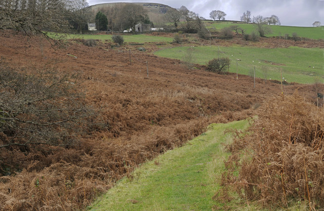 Cefn Glas