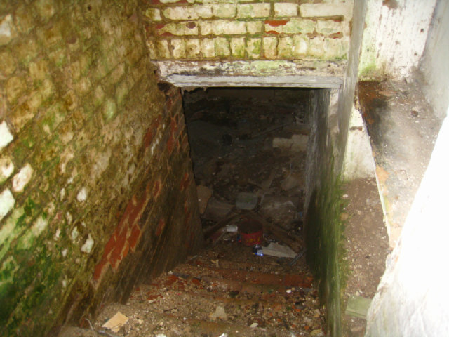 Cellar Steps