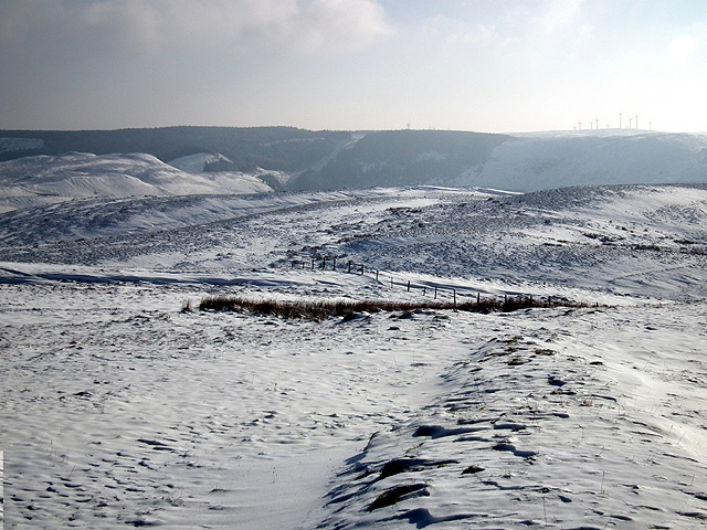 such-a-bleak-landscape-poodle-walks