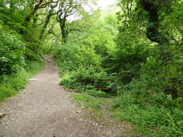 Watersmeet Lynmouth