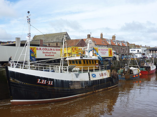 NT9464 : Leith Registered Fishing Boats : Rebecca (LH11) at Eyemouth