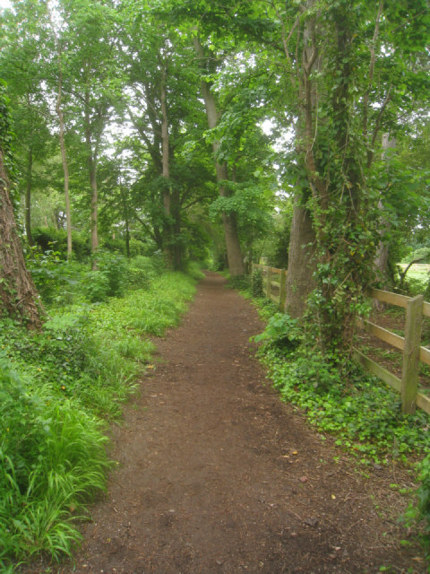 Footpath By Hobson S Brook Mr Ignavy Geograph Britain And Ireland