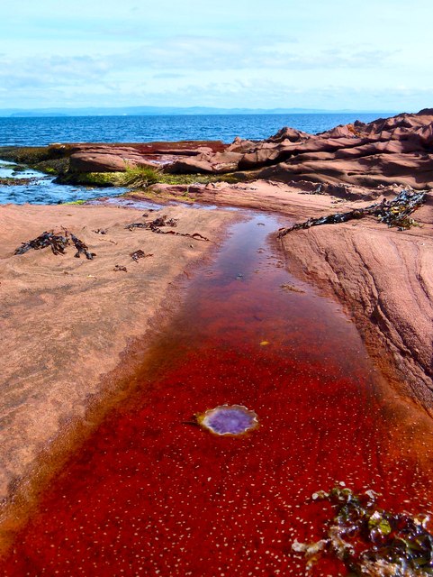 red-sea-andy-farrington-cc-by-sa-2-0-geograph-britain-and-ireland