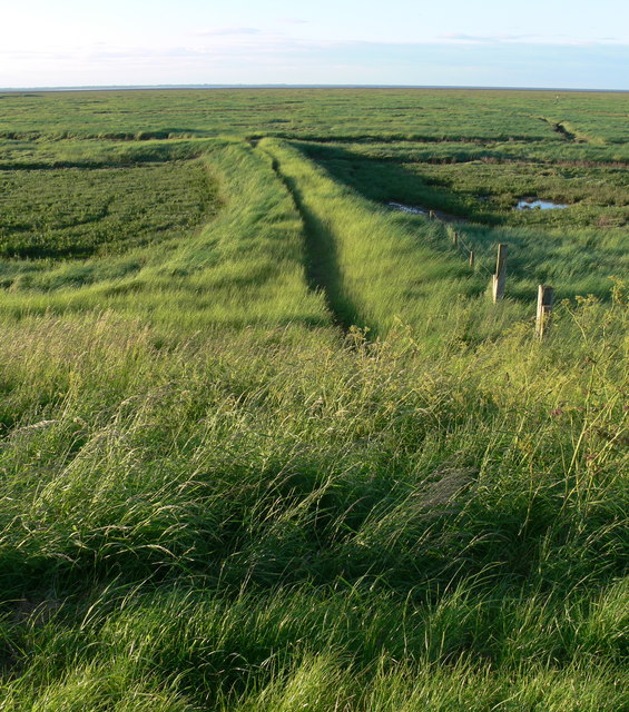 Path Into The Salt Marsh Mat Fascione Cc By Sa 2 0 Geograph