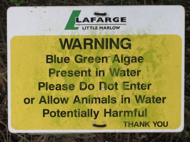 Toxic algae warning sign