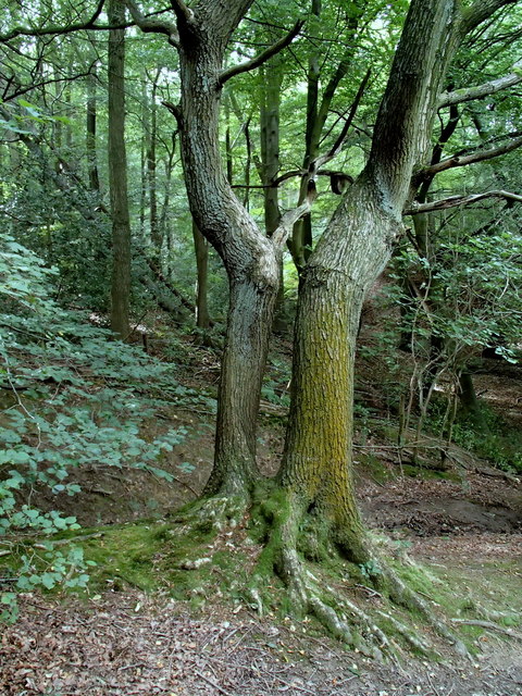 holmesfield derbyshire