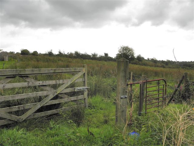 Rushy Ground Tamlaght Kenneth Allen Geograph Ireland