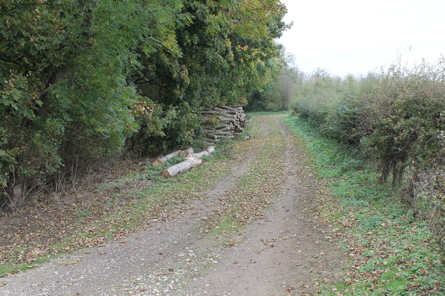 Track Along Suddle Wood J Hannan Briggs Cc By Sa Geograph