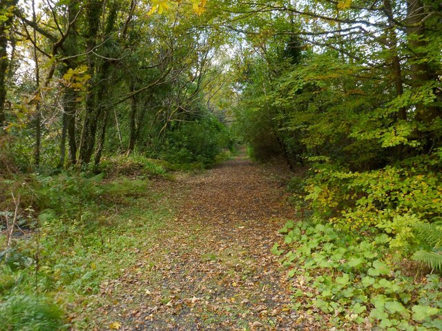 Trackbed Of Dismantled Railway Line Lairich Rig Geograph Britain