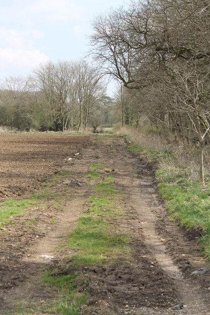 Track Along Graham S Plantation J Hannan Briggs Cc By Sa