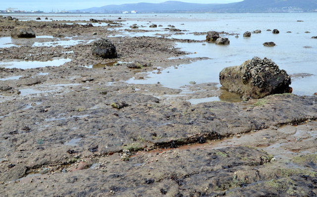 the-low-water-mark-cultra-1-albert-bridge-geograph-britain-and