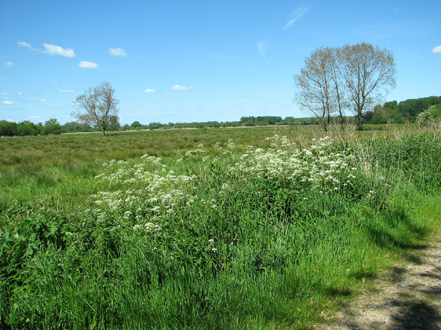 Marsh Pastures By Sutton S Farm Evelyn Simak Cc By Sa Geograph