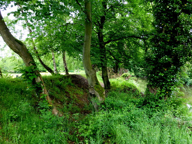 Along The Banks Of The Camowen River Kenneth Allen Cc By Sa