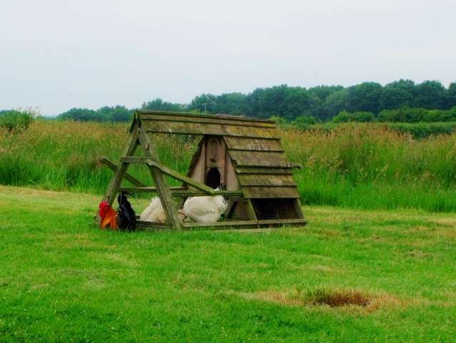 Chicken coop, Towning's Farm, North... (C) nick macneill :: Geograph ...