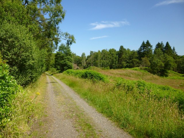 Track Beside Black Wood Lairich Rig Cc By Sa 2 0 Geograph Britain