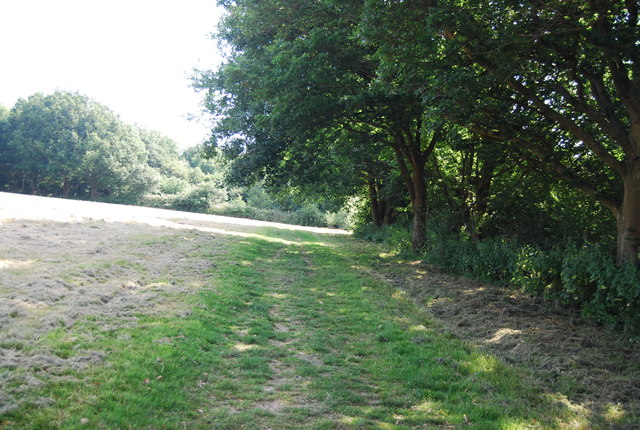 Sussex Border Path © N Chadwick :: Geograph Britain And Ireland