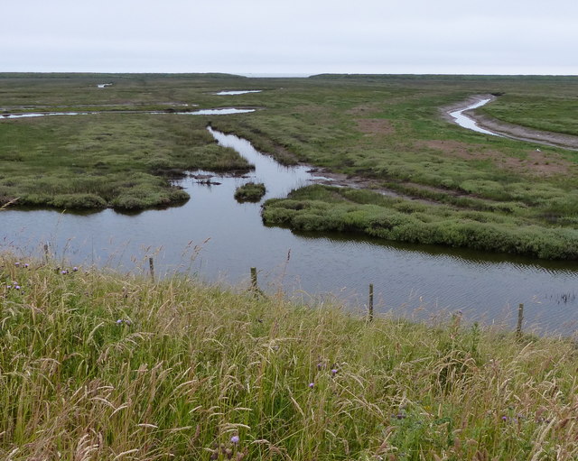 Salt Marsh At Freiston Shore Nature Mat Fascione Geograph