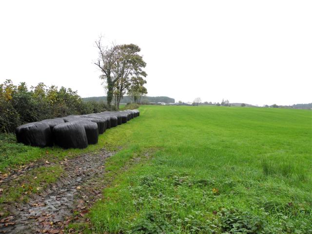 Silage Bales Drumlegagh Kenneth Allen Cc By Sa Geograph Ireland