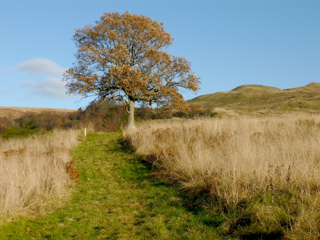 Path Near The Overtoun Burn Lairich Rig Cc By Sa 2 0 Geograph