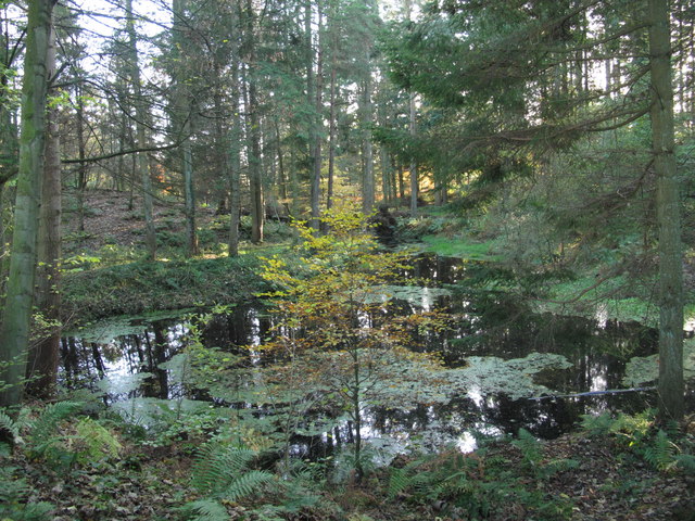 Pond In Rowbank Wood Mike Quinn Cc By Sa Geograph Britain And