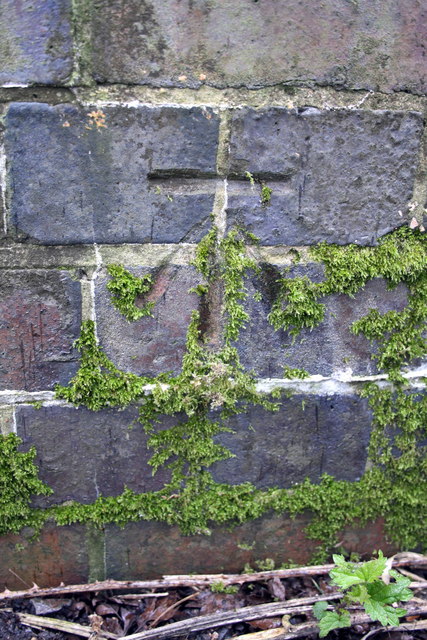 Benchmark On Abutment Wall Of Railway Roger Templeman Cc By Sa 2 0