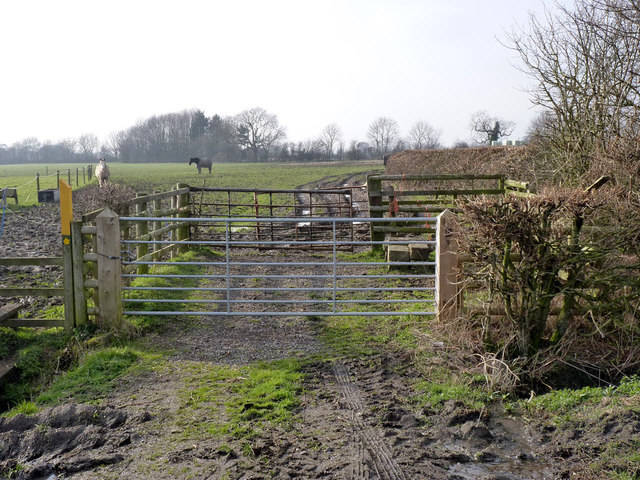 cattle-holding-pen-near-wymeswold-alan-murray-rust-cc-by-sa-2-0